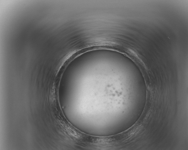 X0000060240875200511041254