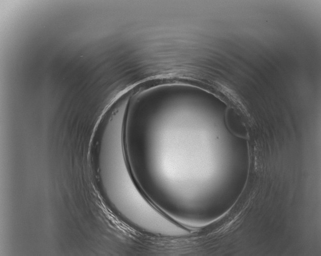 X0000060240876200511041254