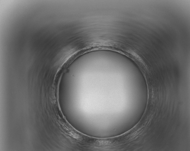 X0000060240878200511041254