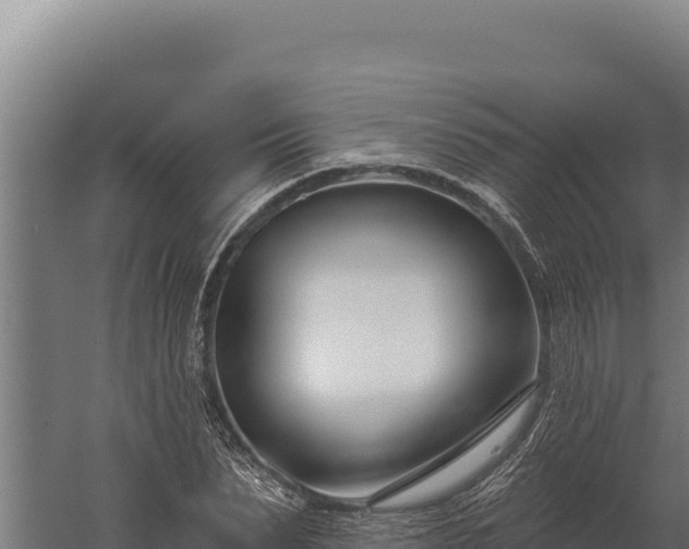 X0000060240879200511041254