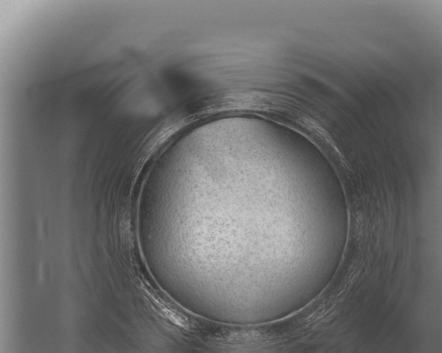 X0000060240882200511041254