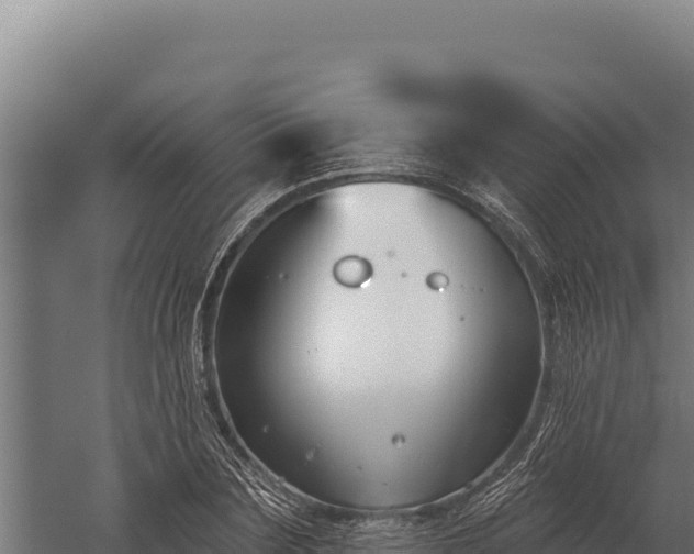 X0000060240883200511041254