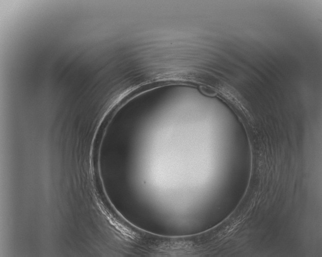 X0000060240884200511041254