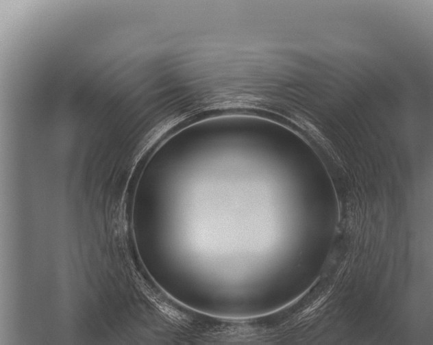 X0000060240885200511041254