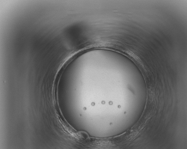 X0000060240886200511041254