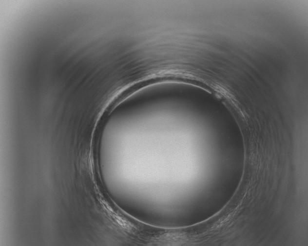 X0000060240888200511041254