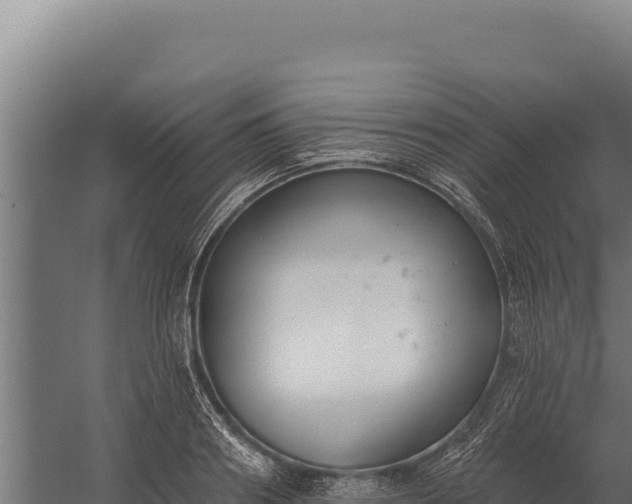 X0000060240890200511041254