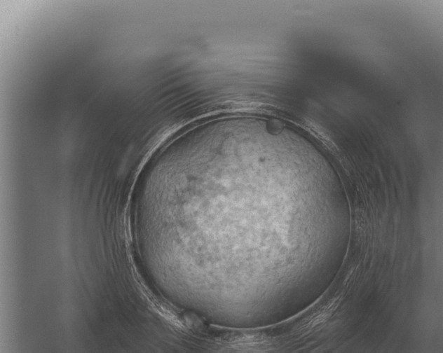 X0000060240891200511041254