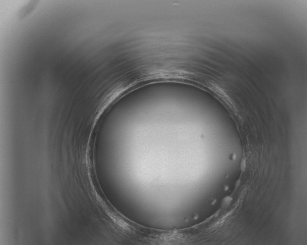 X0000060240893200511041254