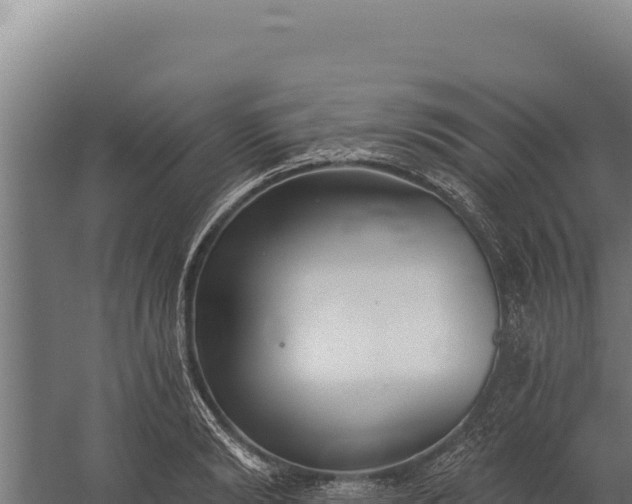 X0000060240894200511041254