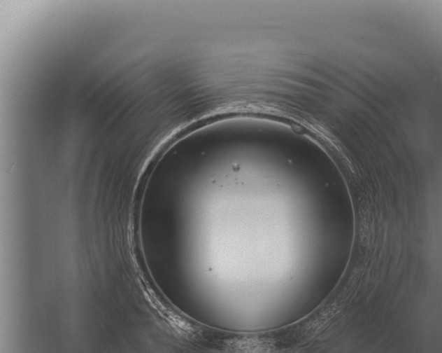 X0000060240896200511041253