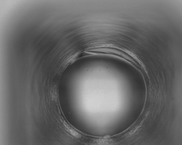 X0000060240897200511041253