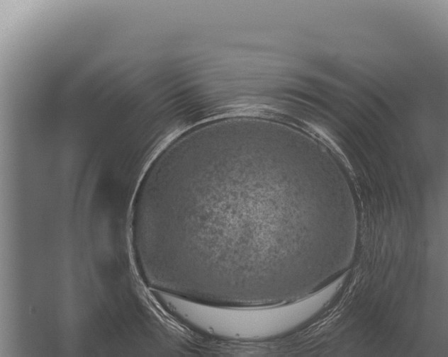 X0000060240899200511041253