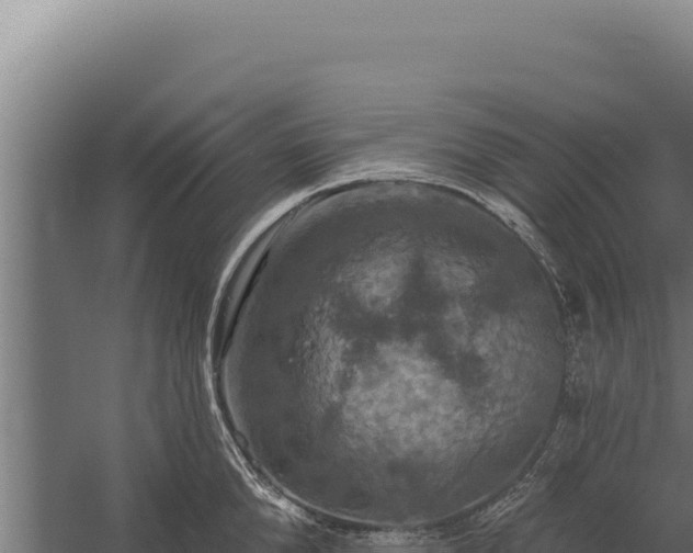 X0000060240904200511041253