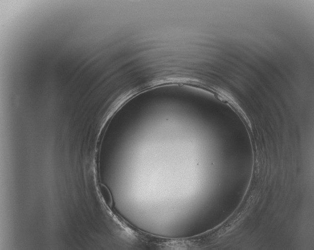 X0000060240906200511041253