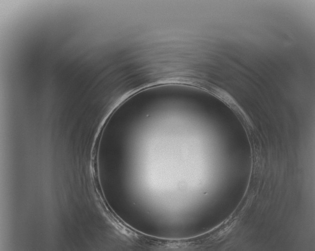 X0000060240908200511041253