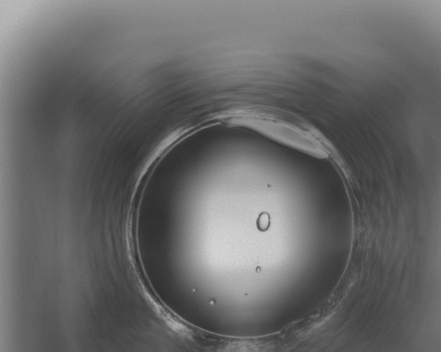 X0000060240909200511041253