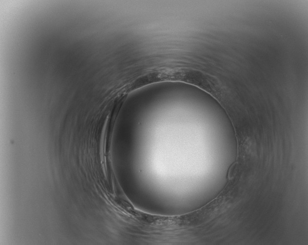 X0000060240914200511041252