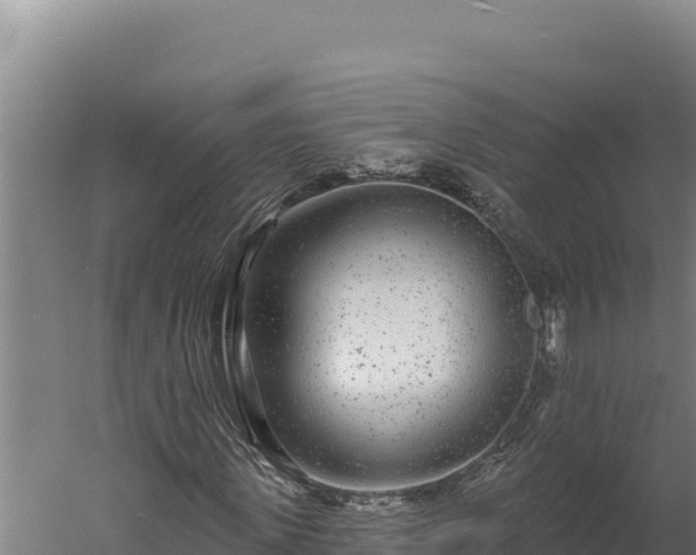 X0000060240915200511041252