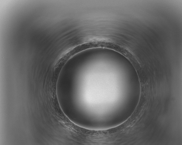 X0000060240919200511041252