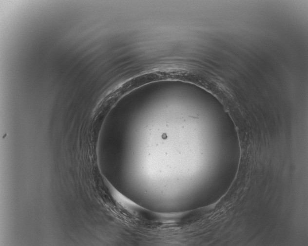 X0000060240920200511041253