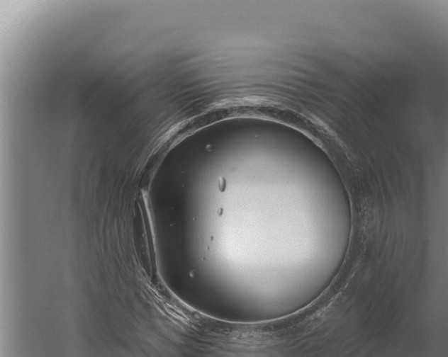 X0000060240921200511041253