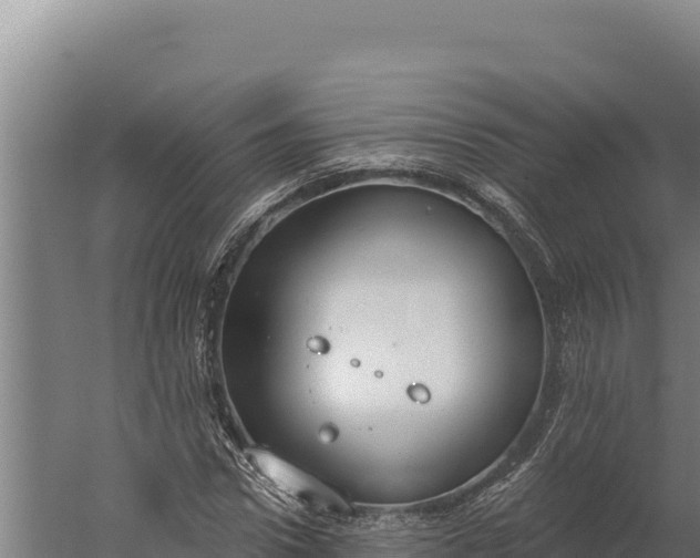 X0000060240922200511041253