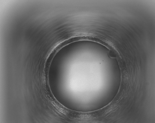 X0000060240927200511041253