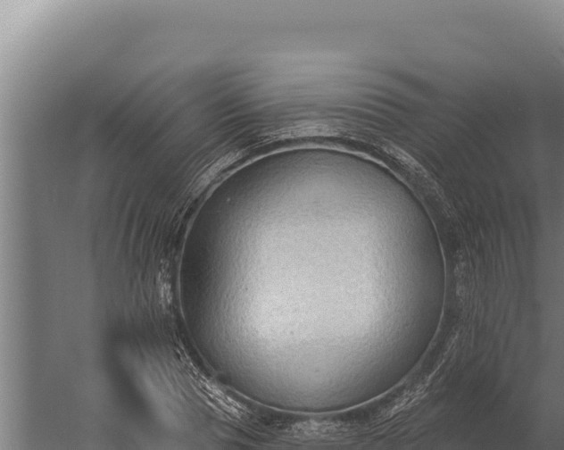 X0000060240929200511041253