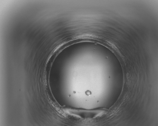 X0000060240931200511041253