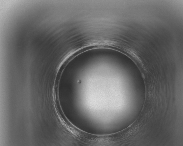 X0000060240936200511041253