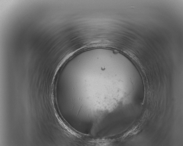 X0000060240941200511041253