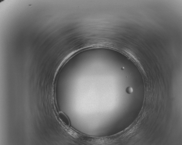 X0000060240948200511041253