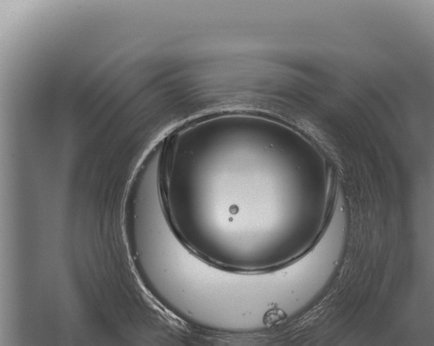 X0000060240950200511041253