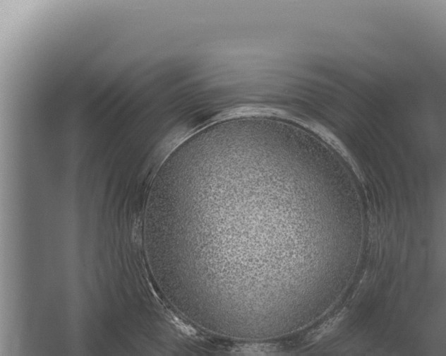 X0000060240953200511041253