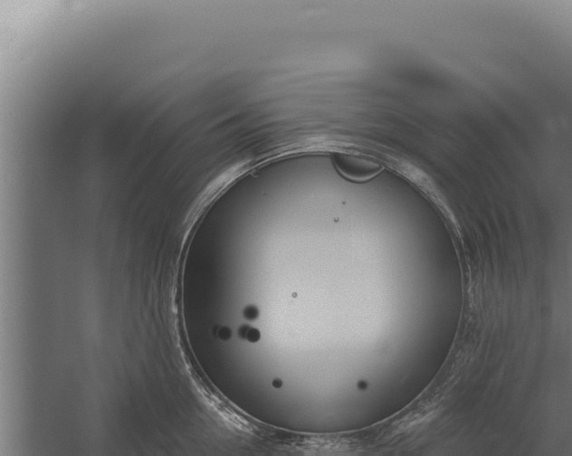 X0000060240954200511041253