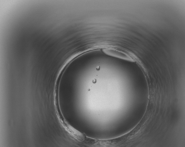 X0000060240955200511041253