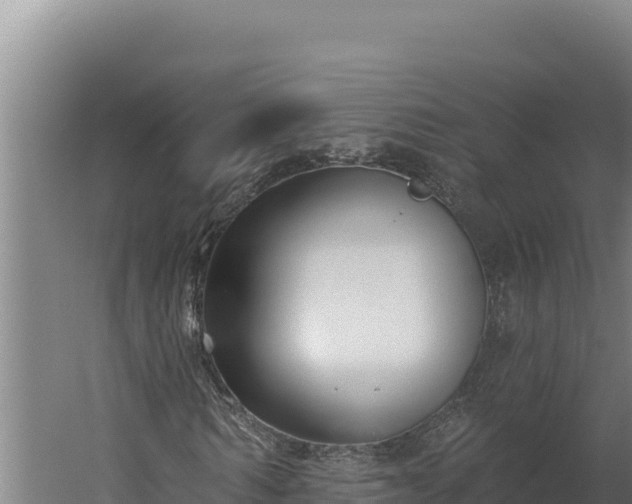 X0000060240962200511041252