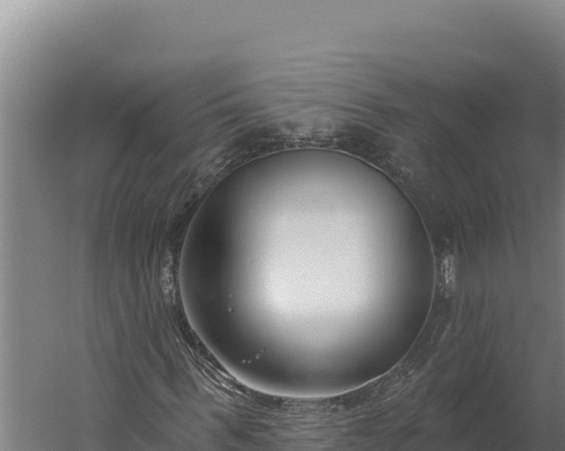 X0000060240963200511041252