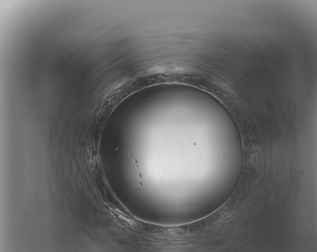 X0000060240966200511041252