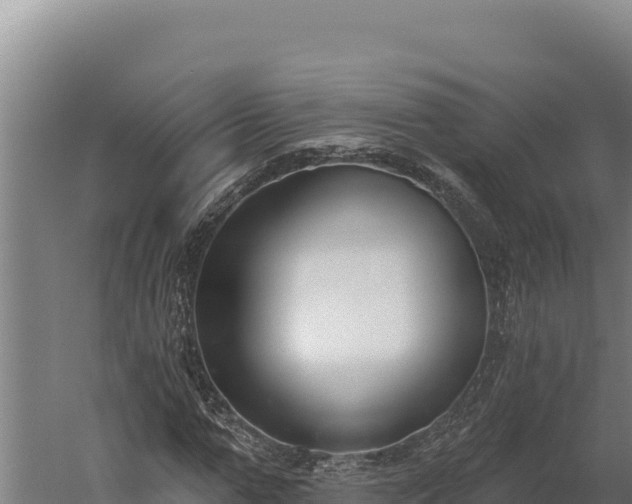 X0000060240967200511041252