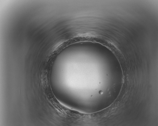 X0000060240968200511041252