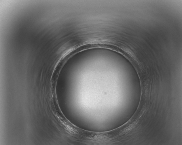 X0000060240974200511041252