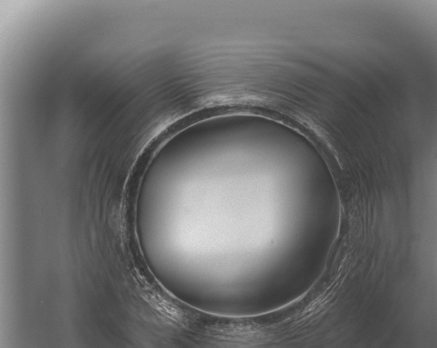 X0000060240975200511041252