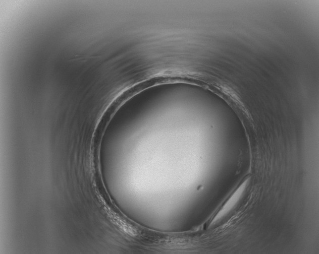 X0000060240976200511041252