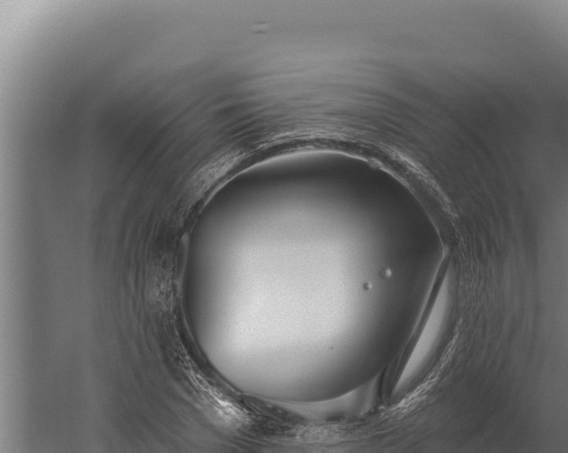 X0000060240977200511041252