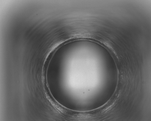 X0000060240981200511041252