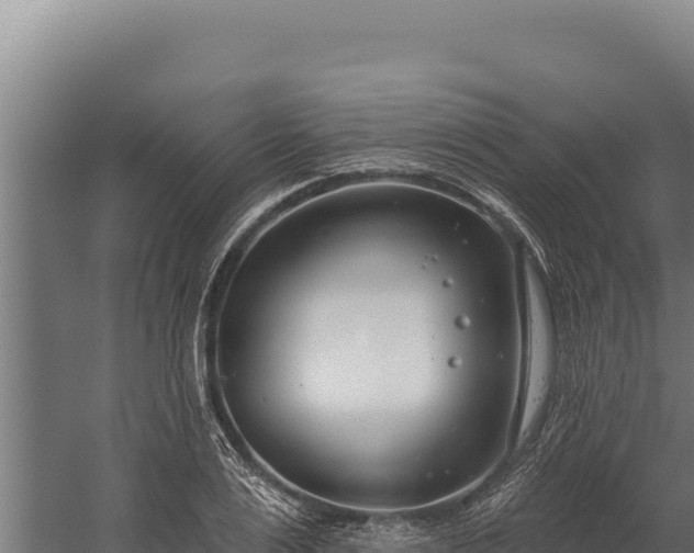 X0000060240983200511041252