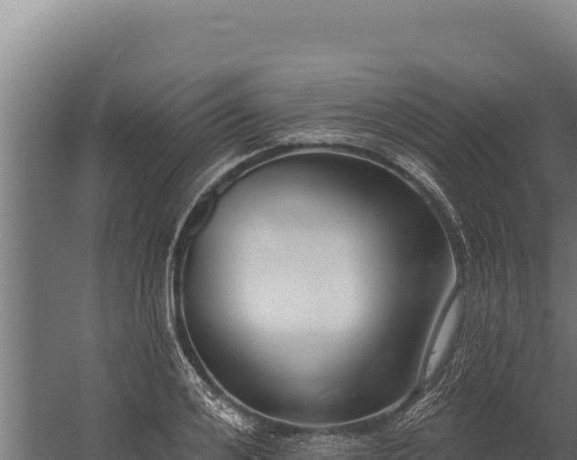 X0000060240984200511041252