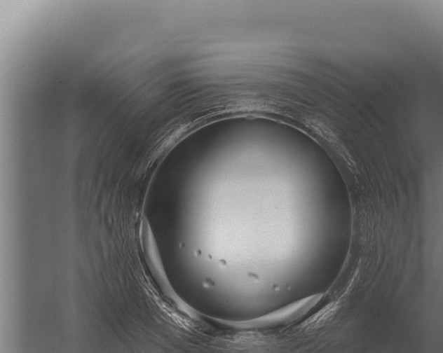 X0000060240985200511041252